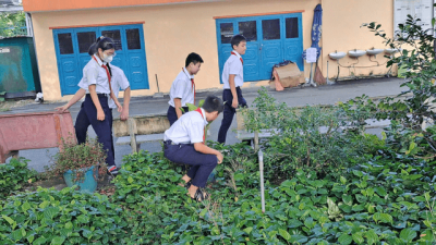 Học sinh trường THCS Phú Mỹ tích cực và tự nguyện tham gia hoạt động vệ sinh lao động khu vực