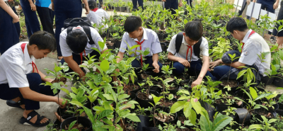 Tổng vệ sinh toàn trường
