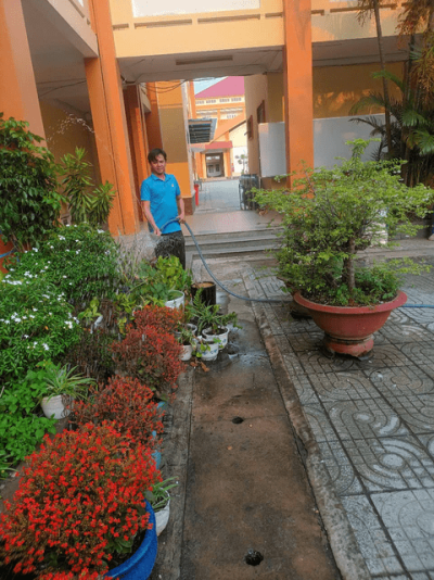 Chăm sóc cây xanh trường học