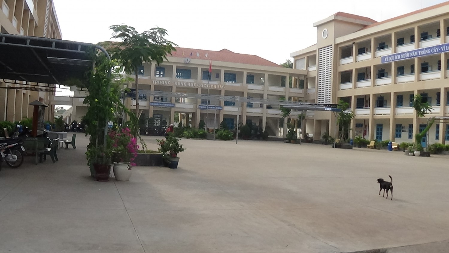Thông báo tuyển sinh lớp 6 năm học 2015 - 2016