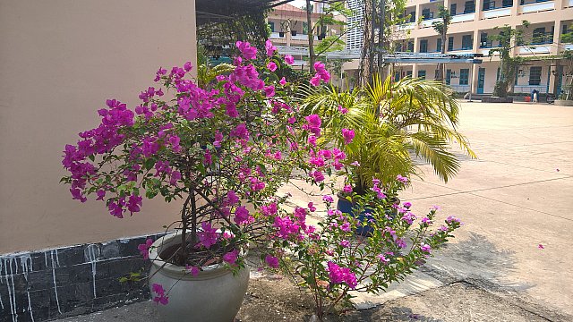 xanh (13)