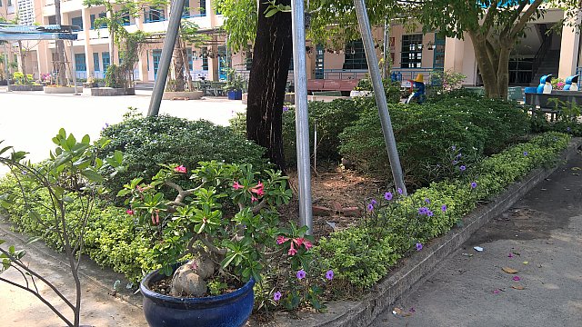 xanh (14)