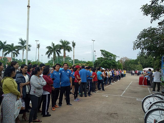 cd8