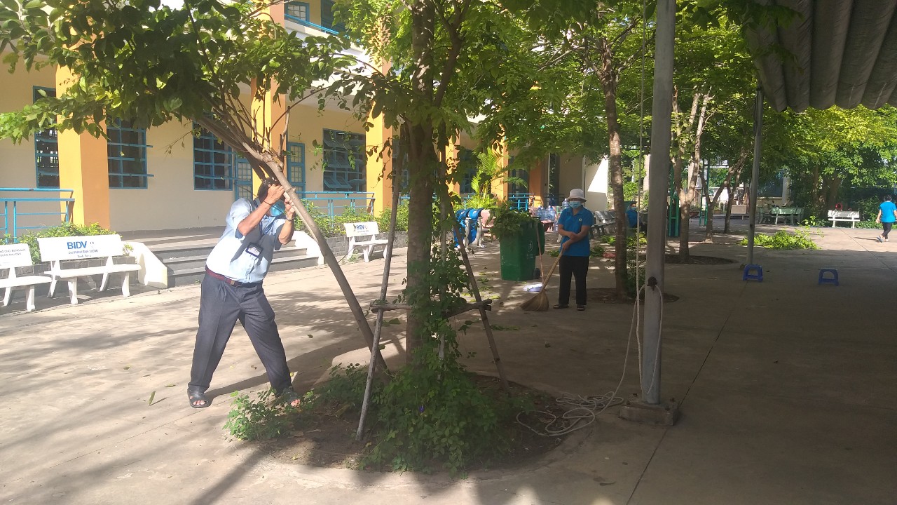 cay xanh 4