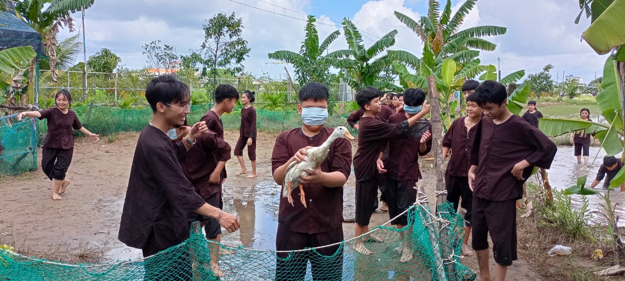 vn1